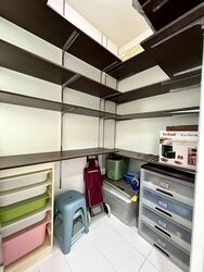 The Tembusu (D19), Condominium #612910501